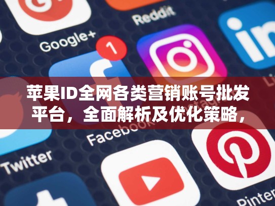 苹果ID全网各类营销账号批发平台，全面解析及优化策略，苹果id账号批发网站