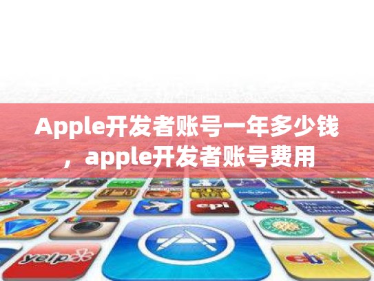 Apple开发者账号一年多少钱，apple开发者账号费用