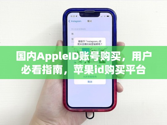 国内AppleID账号购买，用户必看指南，苹果id购买平台