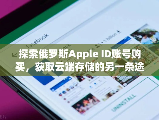 探索俄罗斯Apple ID账号购买，获取云端存储的另一条途径，俄罗斯苹果id购买