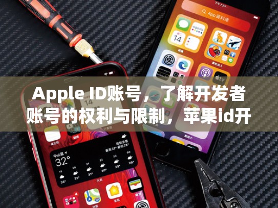 Apple ID账号，了解开发者账号的权利与限制，苹果id开发者账号